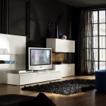 6.Fascinating-White-Furniture-and-Black-Wall-Paint-in-Contemporary-Living-Room-Decor-Idea